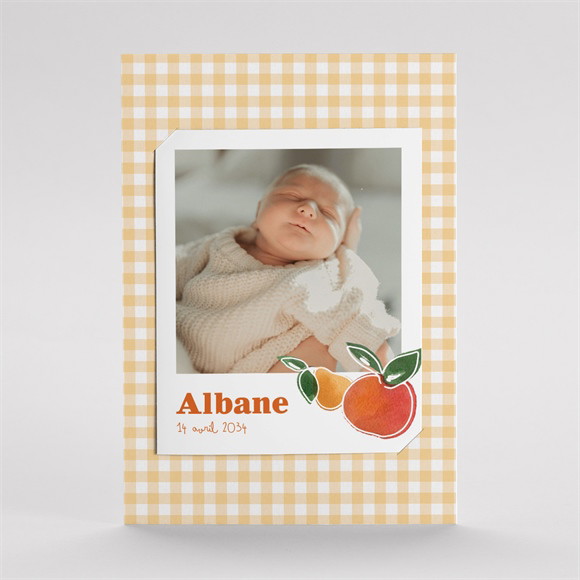 Faire-part naissance Vichy fruité duo réf.N231107