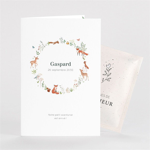 Faire-part naissance Gaiement avec graines réf.N75103