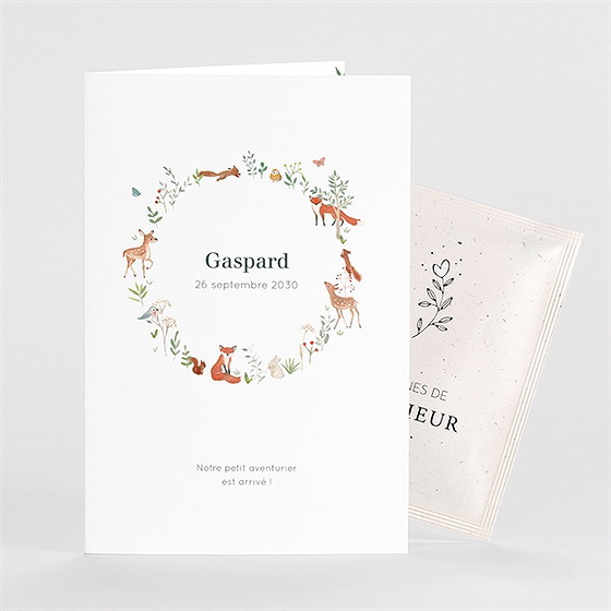 Faire-part naissance gaiement avec graines