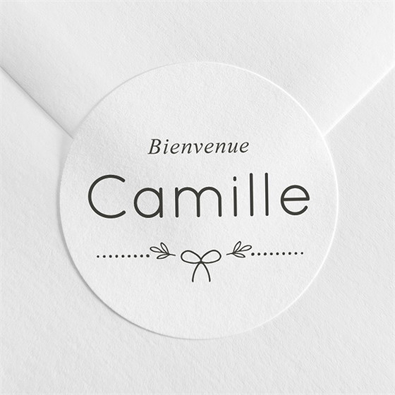 Sticker naissance pictos sur photo