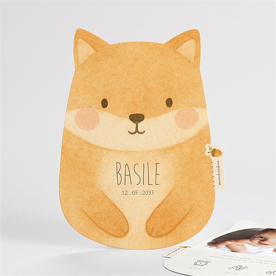 Faire-part naissance renard mondoudou