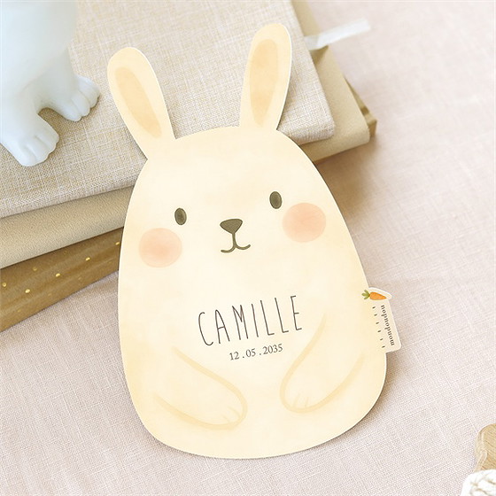 Faire-part naissance lapin mondoudou
