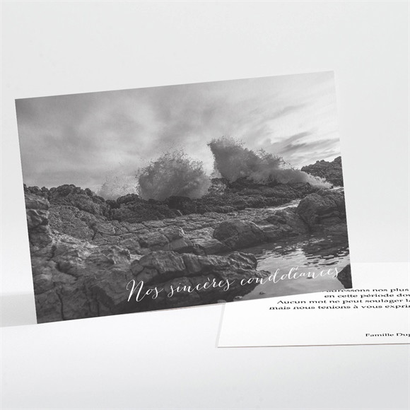 Carte de condoléances décès Songes réf.N111299