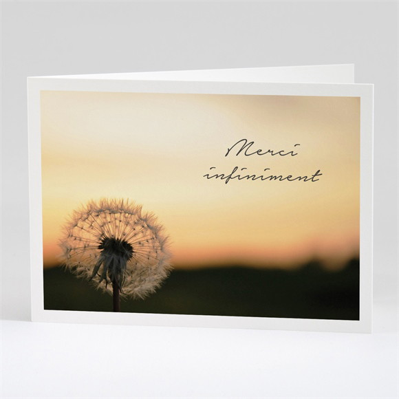 Remerciement décès Pissenlit à l’aube réf.N42182