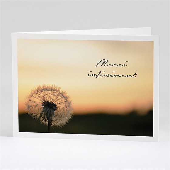 Remerciement décès pissenlit à l’aube
