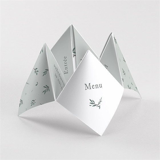 Menu baptême photo vert sauge cocotte