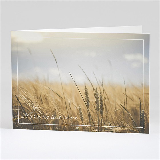 Remerciement décès épis de blé