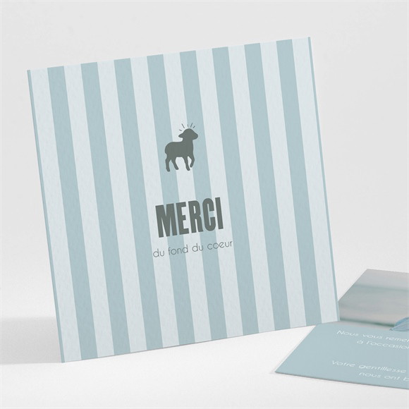 Remerciement baptême Mon Berger réf.N301676