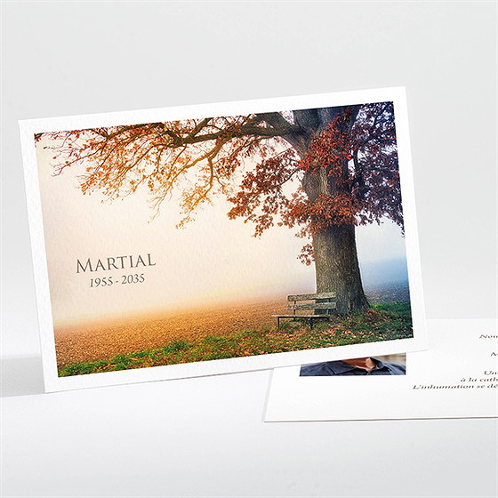 Faire-part décès arbre d’automne