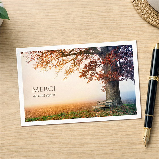 Remerciement décès arbre d’automne